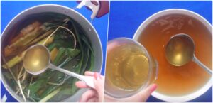Cách nấu nước sâm lá dinh thơm ngon tại nhà