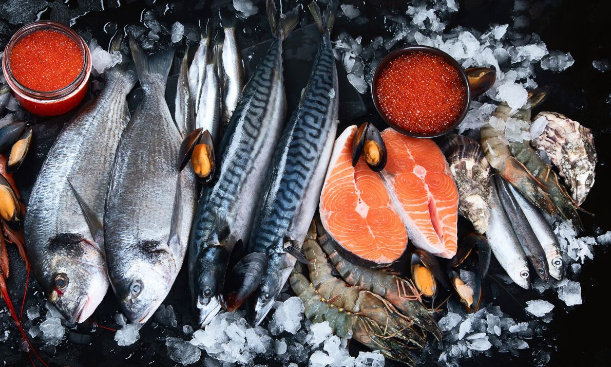 Vì Sao Cá Biển Giàu Sắt Hơn